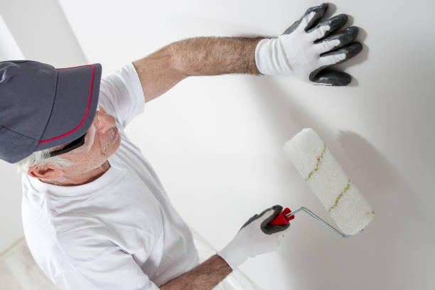 Best Black Mold Removal  in Hastings On Hudson, NY