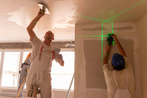 Best Attic Mold Removal  in Hastings On Hudson, NY