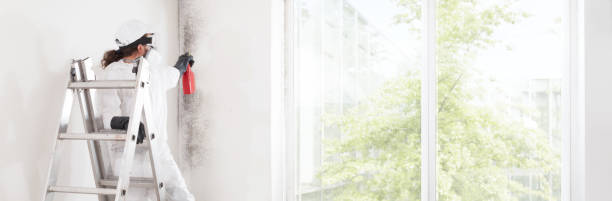 Best Air Quality Testing for Mold Spores  in Hastings On Hudson, NY